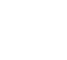 Professional Services