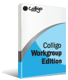 Colligo Workgroup Edition