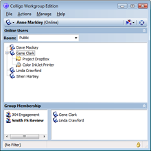 Workgroup Edition Interface