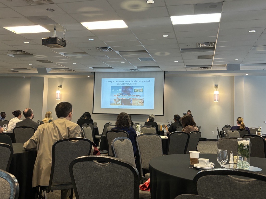 Conference session attendees at ARMA Houston 2024