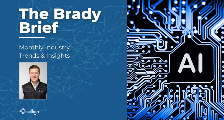 Jan 2025 Brady Brief Banner Image