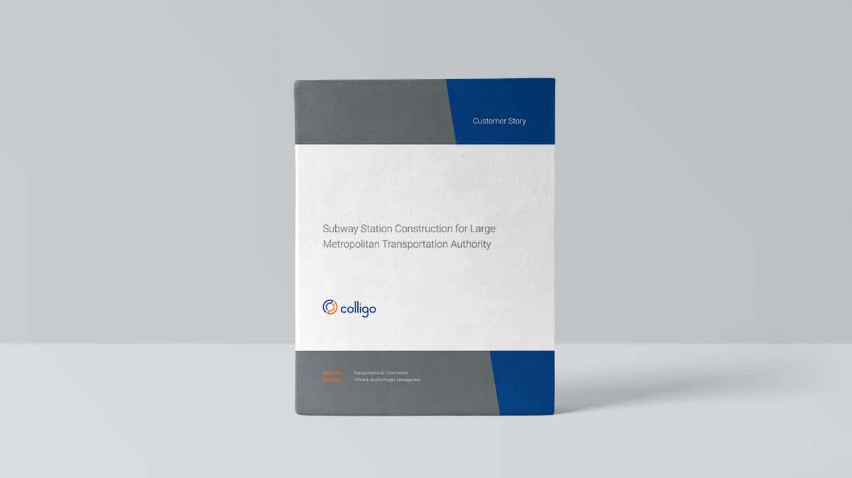 Large Metropolitan Transportation Authority. Case study image